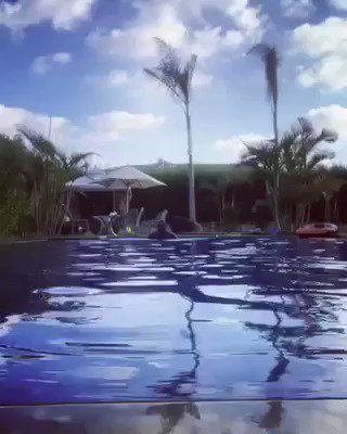 جايلك يا فريده يا عثمان 😁😄😄