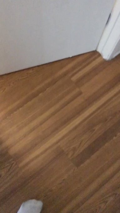 My  aliens sexy little ass! ??? https://t.co/j0AUlbOqzr