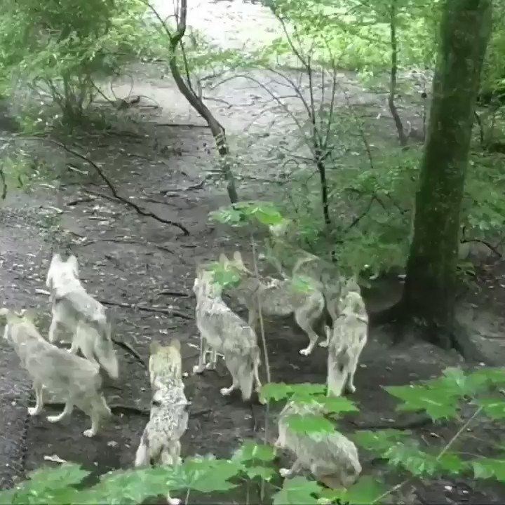 Kitchen staff right before dinner service starts: