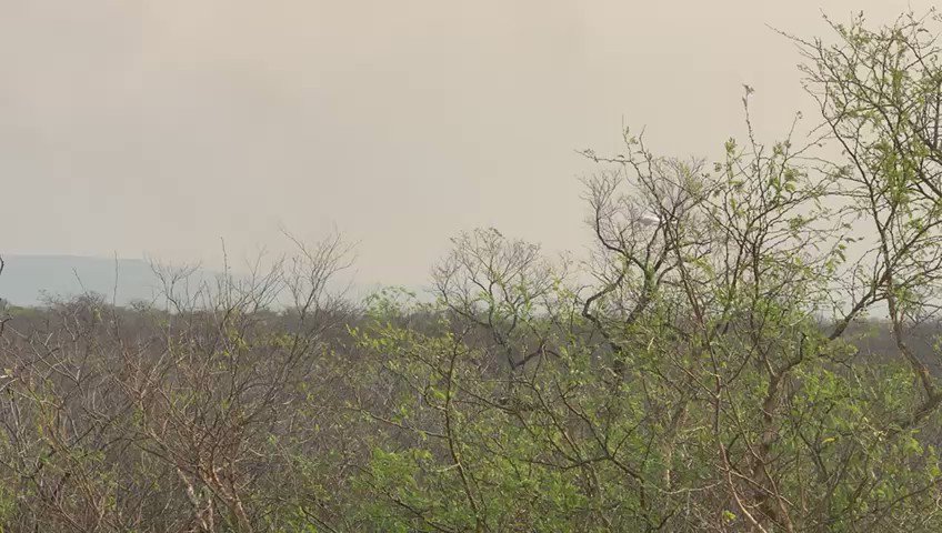 Aaron Bastani (@AaronBastani) on Twitter photo 2019-08-24 16:12:48 A supertanker plane dropping water to obstruct the Amazon burning. The person behind it? Bolivia’s socialist leader Evo Morales. A supertanker plane dropping water to obstruct the Amazon burning. The person behind it? Bolivia’s socialist leader Evo Morales.