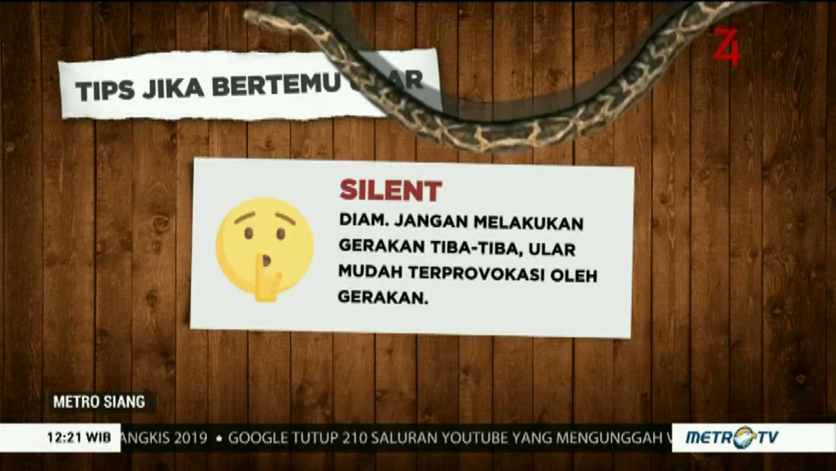 Tips Jika Bertemu Ular https://www.metrotvnews.com/s/b2lCZxoo