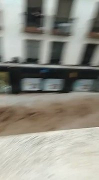 Video insertado
