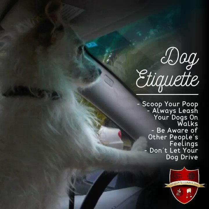 In honor of #NationalDogDay. Here are a few etiquette tips
- Scoop Your Poop
- Always Leash Your Dogs On Walks
- Be Aware of Other People’s Feelings
- Don’t Let Your Dog Drive
#DogEtiquette #MindYourManners #MannersMonday #EtiquetteExpert #TobeyHirst https://t.co/iW8LdyiSE4