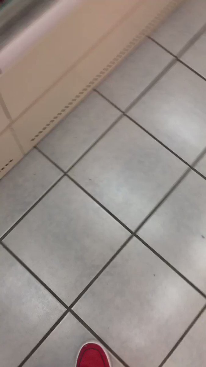 コンビニにハエが大量発生・・・想像以上にいる・・・