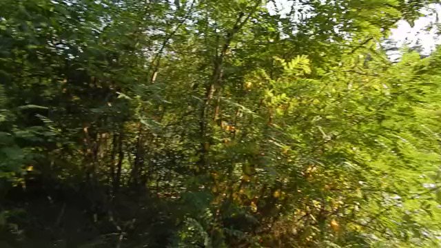 Just sold my favorite Modelhub video: https://t.co/s2jRaQYNUt https://t.co/zTi4g6MdPX<a href="/tag/holidays"class="tags"><span>#holidays</span></a><a href="/tag/boyfriend"class="tags"><span>#boyfriend</span></a><a href="/tag/kiev"class="tags"><span>#kiev</span></a><a href="/tag/ukraina"class="tags"><span>#ukraina</span></a>