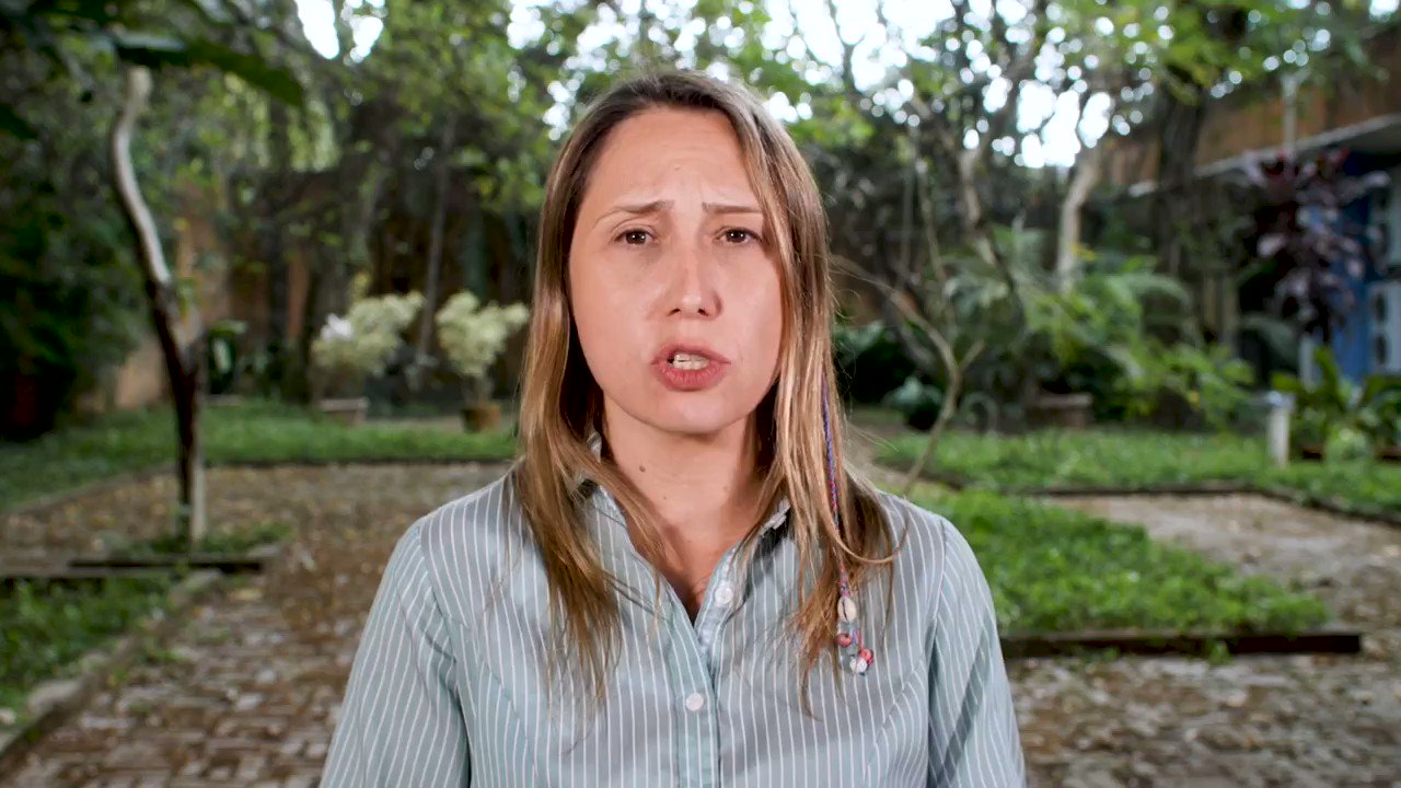 Larissa Mies Bombardi (MiesLarissa) / Twitter