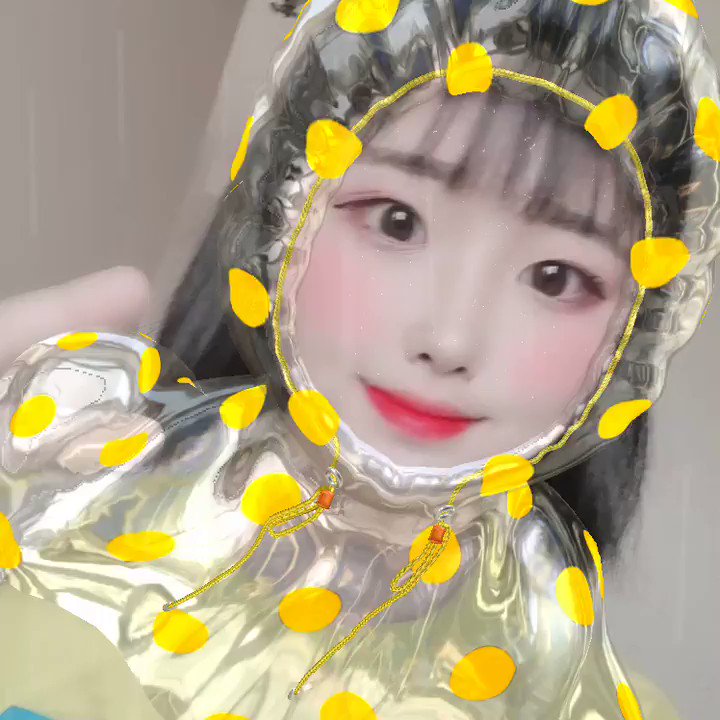 트위터, twitter - 딸플릭스