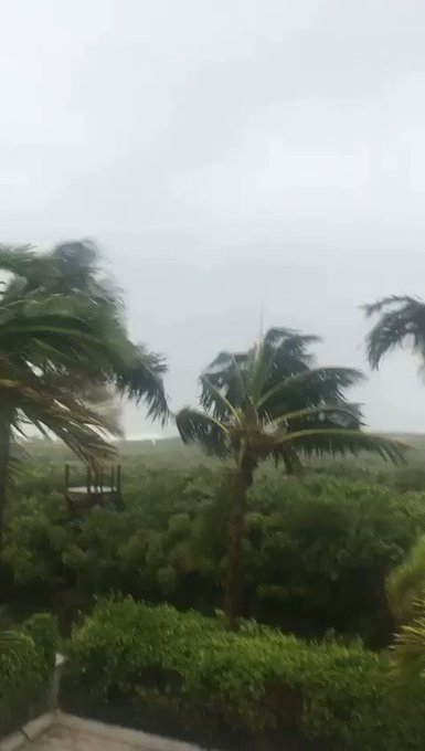 Ενσωματωμένο βίντεο