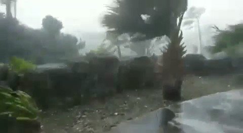 Vídeo incorporado