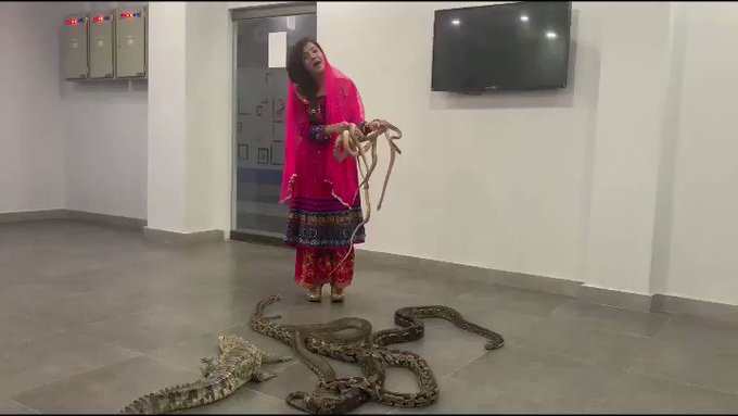 உட்பொதிக்கப்பட்ட வீடியோ