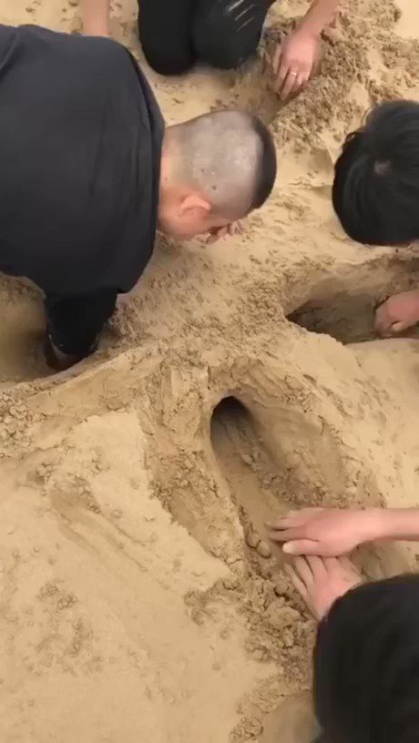人の真似をしている犬が可愛すぎるwwwお手伝いしている姿が愛くるしいですwwもっと見ていたいww
