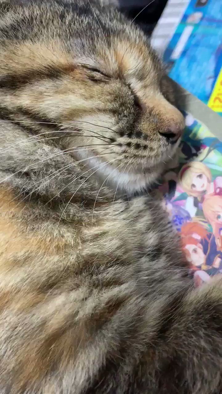 みーちゃんねる (@michannel0325) / X