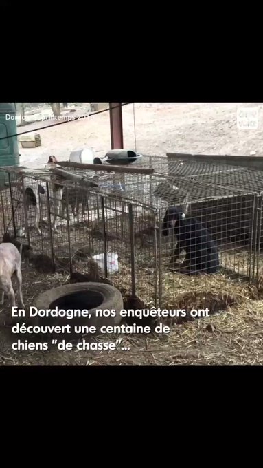 Vidéo intégrée