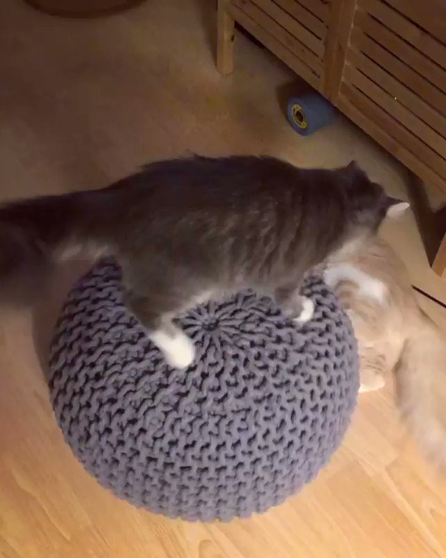 It’s a spin class for #WeeklyFluff https://www.instagram.com/p/B2FD_yiAn5R/