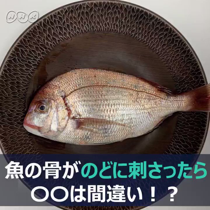 Nhkニュース 魚の骨がのどに刺さったときってどうしてますか 対処法としてよく聞く ごはんを飲み込む 実は意味のない むしろ状態を悪化させかねない手段だったんです どうして どうすればいいの T Co Ywqw5n8r47 T Co Tmmekhf6ee Nhkニュース 魚の骨がのどに刺さったときってどうしてますか 対処法としてよく聞く ごはんを飲み込む 実は意味のない むしろ状態を悪化させかねない手段だったんです どうして どうすればいいの T Co Ywqw5n8r47 T Co Tmmekhf6ee