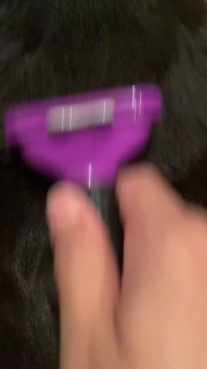 けい Shappo 12 Twitter