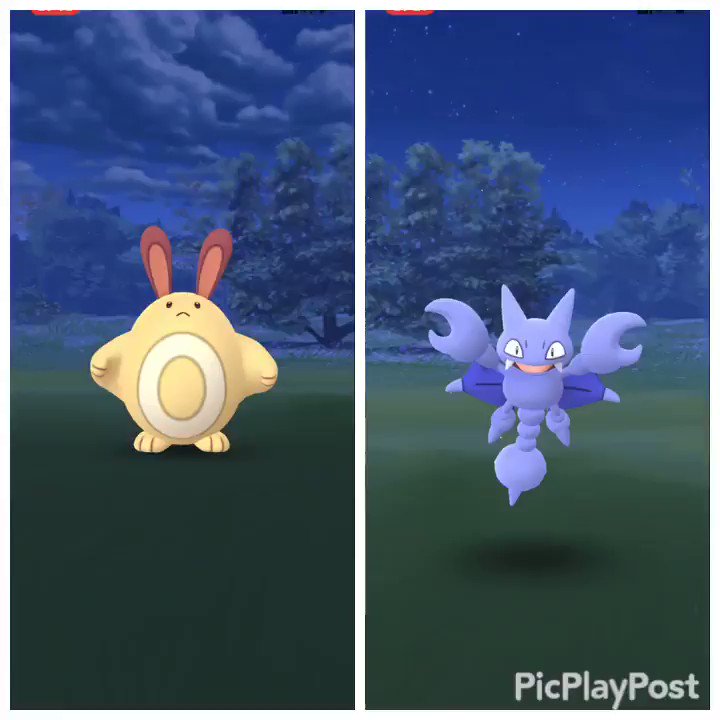 ポケモンgo 色違いオタチとグライガーは合計何タップで出現した みんなの進捗 ポケモンgo攻略まとめ速報