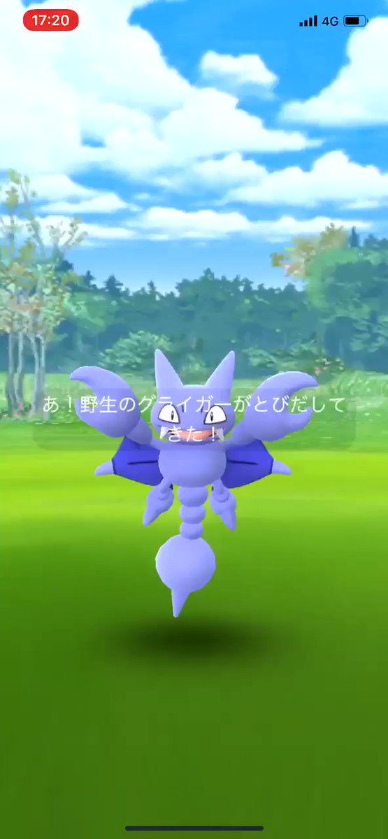 色違い オタチ グライガーみんなは捕まえた 一週間の結果は みんなのポケgo みんポケ 色違い オタチ グライガーみんなは捕まえた 一週間の結果は みんなのポケgo みんポケ