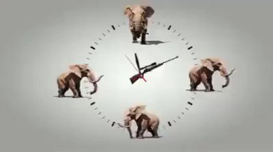 #ThoughtOfTheDay from @RickyGervais."#Elephants will be extinct by 2030 if the ivory trade remains the same. And for what? For trinkets for MORONS to own? That's fucking mental!"#BeKindToElephants ~ Only an #Elephant needs #ivory!!!Video by @action4ifaw