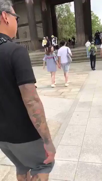 日本は鹿までもがお行儀が良いと海外で話題らしいww