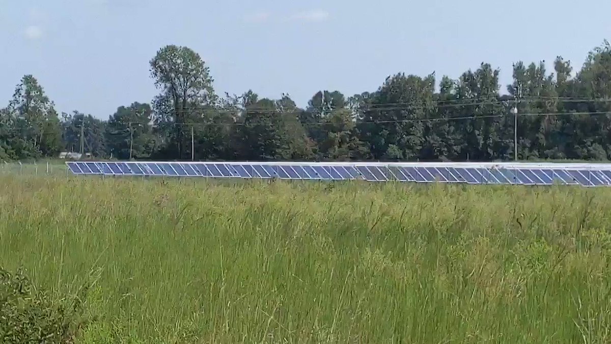 Seriously, solar energy is a big deal in North Carolina.I just passed a field of them.Dan McCready is in the industry, this is what we need.#McCreadyforNC #NC09 #DemCast #DemCastNC