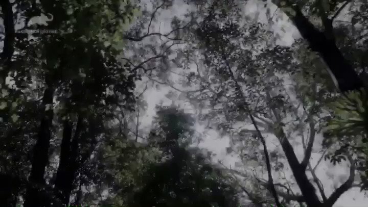@RobertIrwin's photo on Better Than Ever
