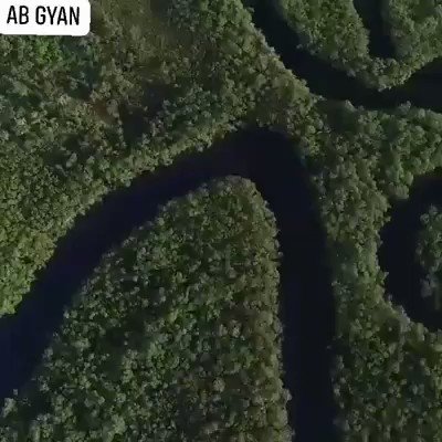 The Amazon Rainforest produces more than 20% of the world's oxygen and it's been burning. It's a home to more than 2,000 species of animals.Our hearts are hurting for the..... #AmazonRainforest 💚#rainforest #amazonrainforestburning #amazonrainforestfire #ABGYAN