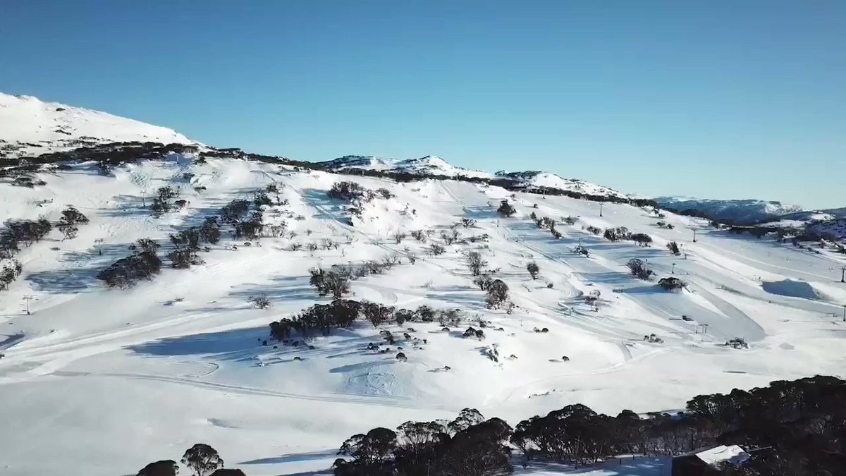 Perisher on Twitter