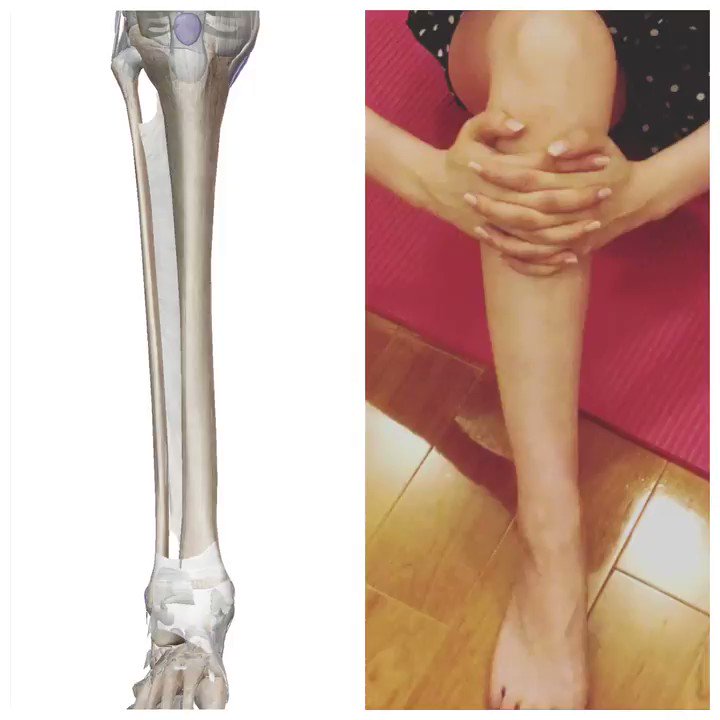 膝下を細くするセルフケア・毎日続けると効果絶大かも？！