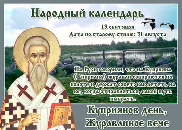 https://pbs.twimg.com/ext_tw_video_thumb/1172403146888400896/pu/img/J48NeOaxZKroyJwc.jpg
