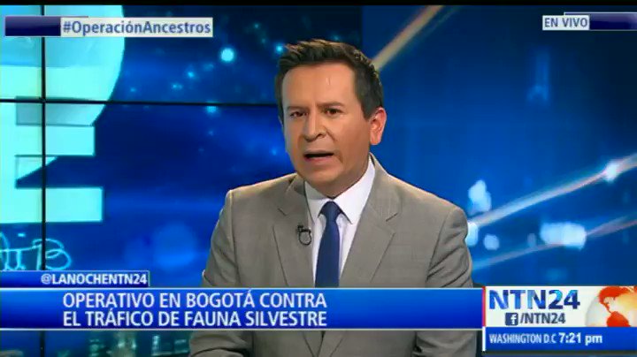 "La violencia colombiana ha estado permeada por esa brujería que se mezcla con los animales" @CruzEscribiente habla de cómo en Colombia personas vinculadas a la ilegalidad han utilizado a animales sacrificados para prácticas de brujería. #OperaciónAncestros