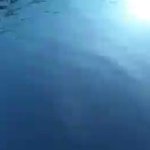 ただ浮かんでいただけなのにこの仕打ち…! バブルリングに巻き込まれたクラゲさんの末路!