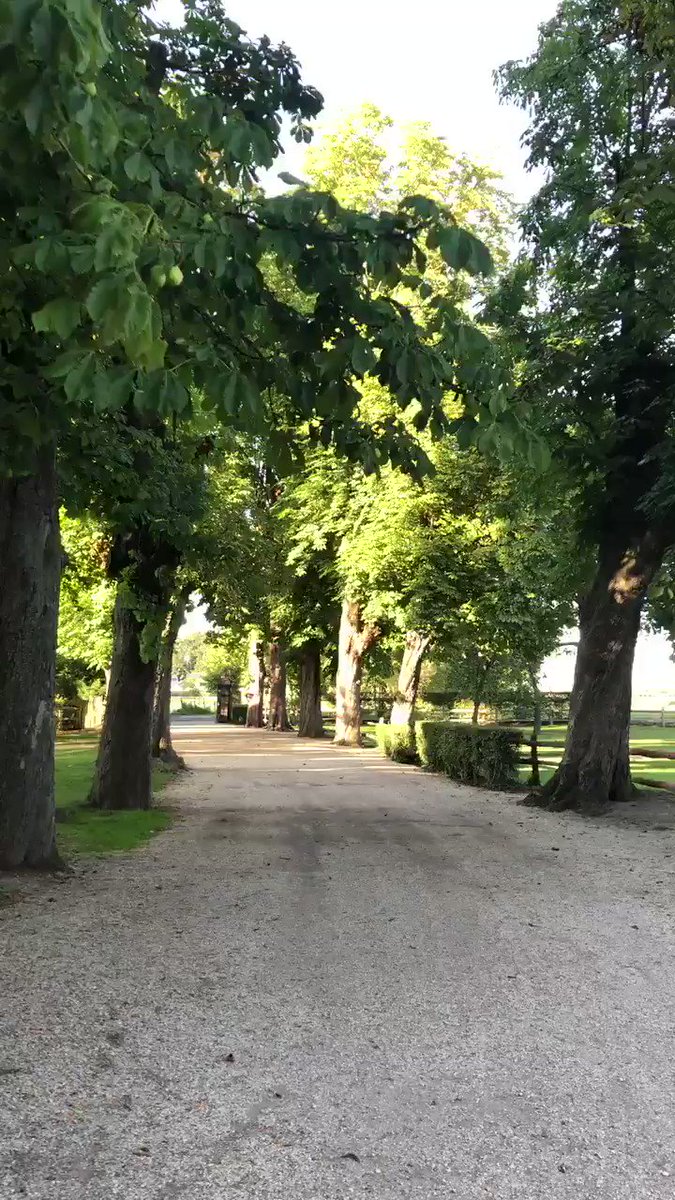 ¿Te vienes a „mi castillo“? Burg Adendorf, en el idílico condado de @gem_wachtberg, cerca de @stadtbonn. Lo que mas conviene para desconectar este finde tras el imparable trasiego esta semana en la feria digital #DMEXCO19, Colonia, Alemania.