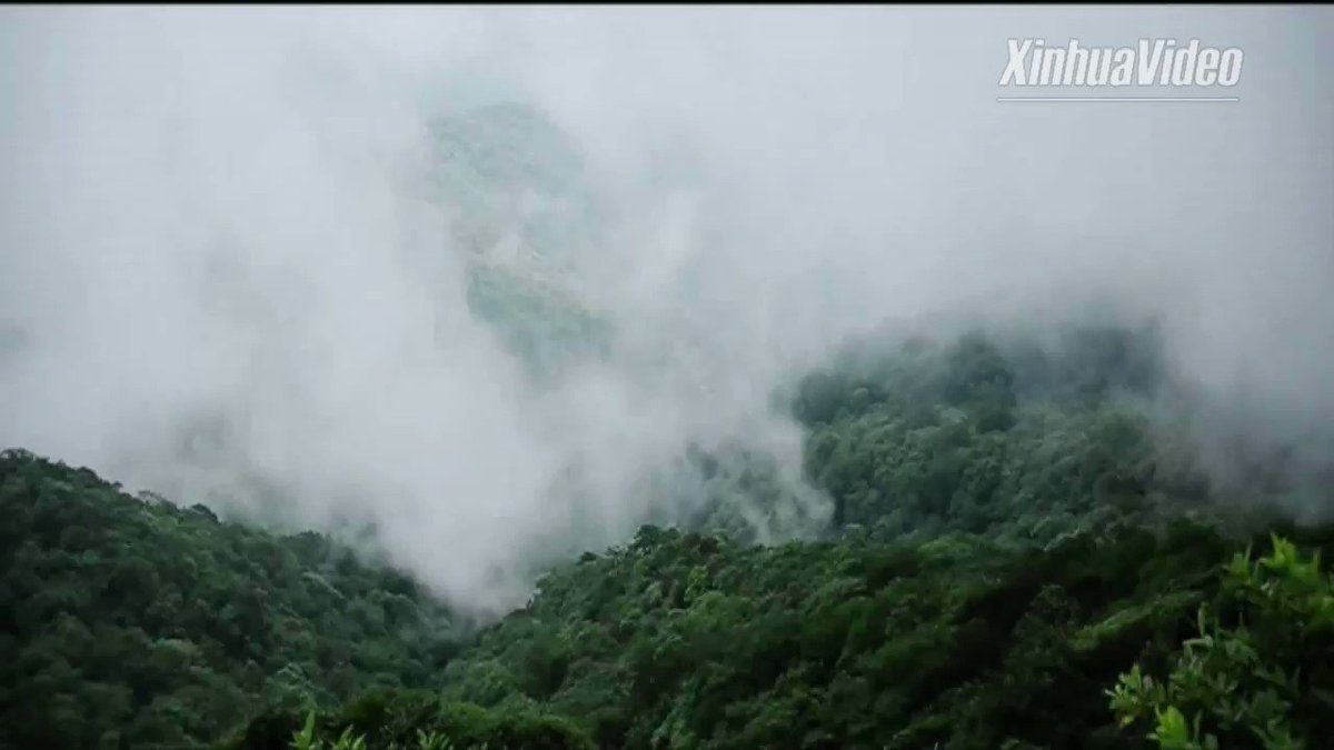 Click to take an aerial view of Fanjingshan, SW China's Guizhou, which has been added to the UNESCO World Heritage List #FlyOverChina