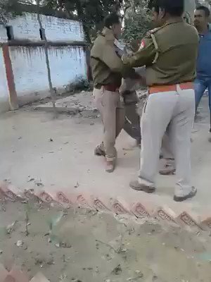 Embedded video