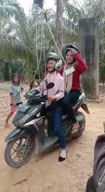 hong (@ahongpleong) on Twitter photo 16/09/2019 00:57:09 indonesia's flying fox @OnlyInINDONESIA indonesia's flying fox @OnlyInINDONESIA