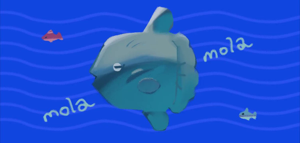 Louie Zong (@everydaylouie) on Twitter photo 16/09/2019 00:40:50 lil song about sunfish βοΈπ lil song about sunfish βοΈπ