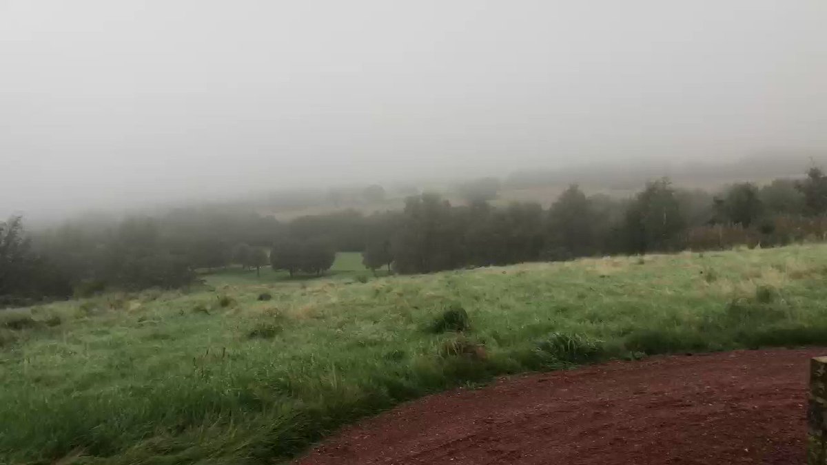 A hill a day and why art is so much better than words.... #ashes #cricket #art #artist