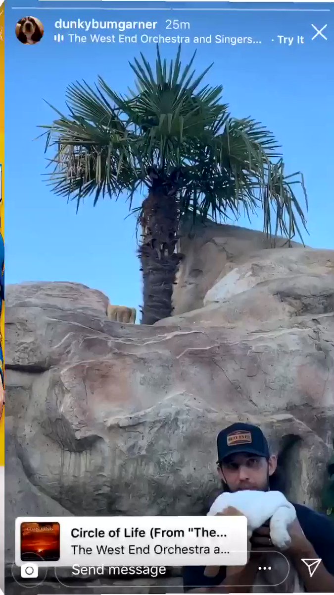 *KICKS DOOR DOWN*HELLO DID YOU SEE MADISON DOING THE LION KING WITH HIS NEW PUPPIES? NOW YOU HAVE! 🦁