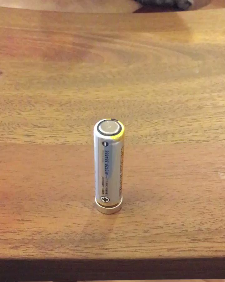 乾電池の上に乗せるだけで？！針金がメリーゴーランドのように回り出した！！