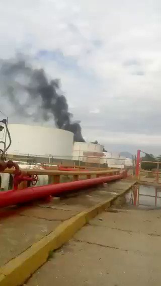 Video insertado