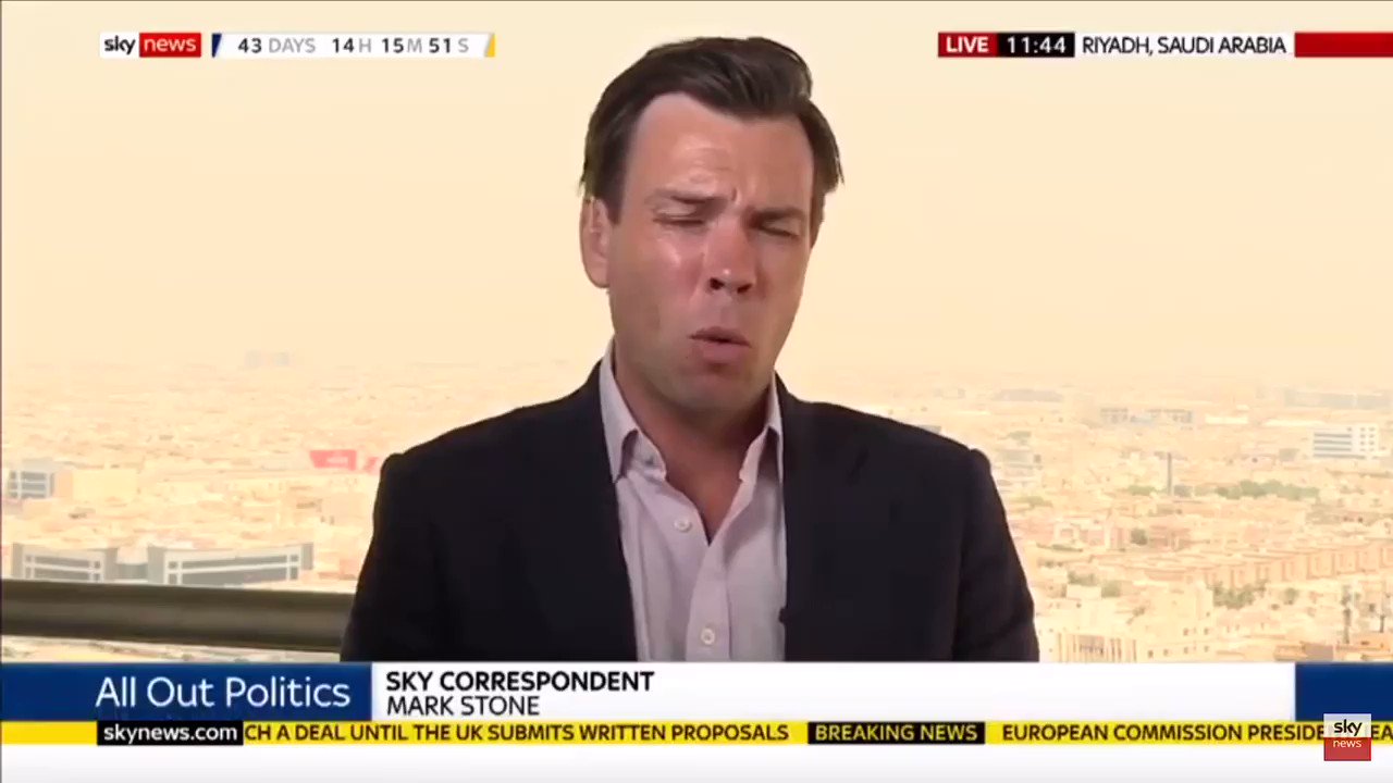 Mark Stone - Sky News