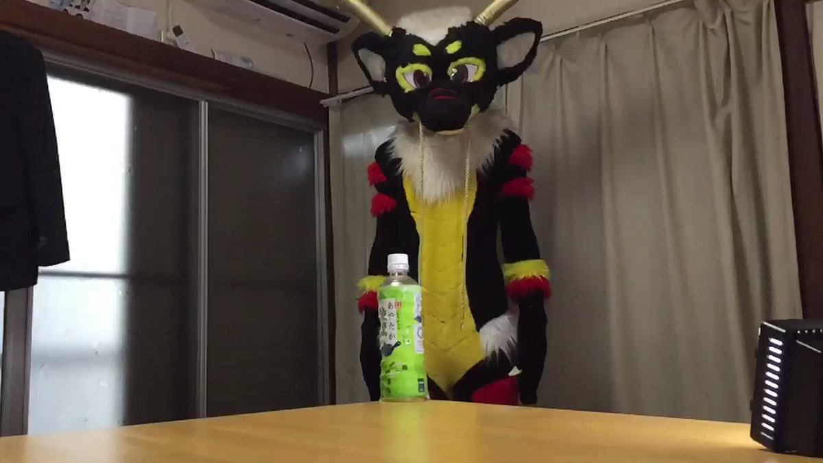 今更挑戦!?僕の足技を見てにゅん!💥┗┐<(*≧ω≦*)>#ボトルキャップチャレンジ#BottleCapChallenge#FursuitFriday 📸@kagejunfox