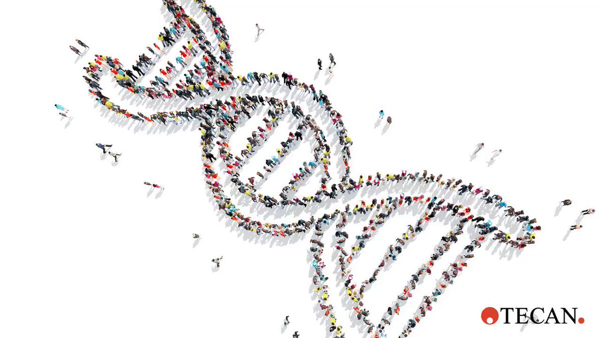 Want to know more about genetic testing? In this guide we address some of the most frequently asked questions: http://bit.ly/2QbhNrp
#genomics #genetictesting #ngs
