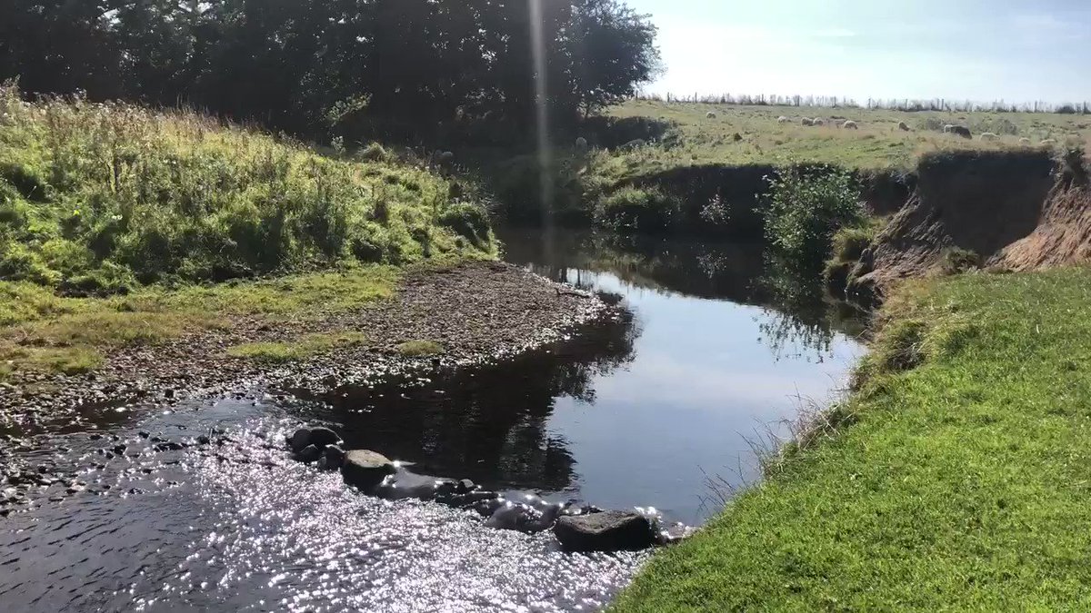 A perfect spot for a picnic 🧺#tranquility