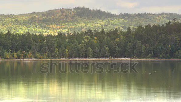 So appealing! #Summer #landscape #lake #forest #traveling#writing ✍️(https://www.fiverr.com/share/BVxAk ) (https://www.fiverr.com/share/L5jPQ )Keep close to #Nature’s heart..and break clear away, once in a while, & #climb a #mountain or spend a week in the woods. Wash your spirit clean. #JohnMuir