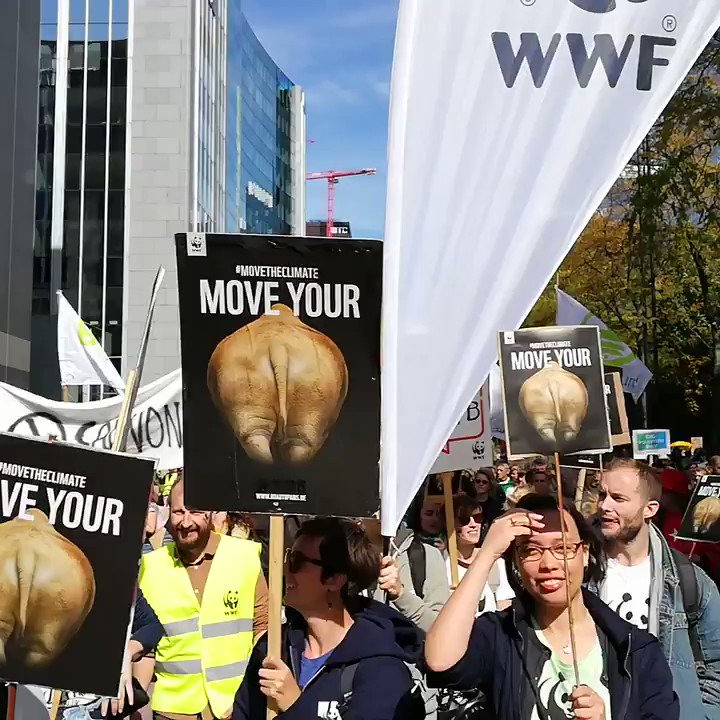 Environmental activists take part in the Climate strike protest calling for action on climate change in Brussels, Belgium
#ClimateChange #ActNow #ClimateStrike #FridaysForFuture #Fridays4Future #Klimastreik https://t.co/uZcW2rKetd
