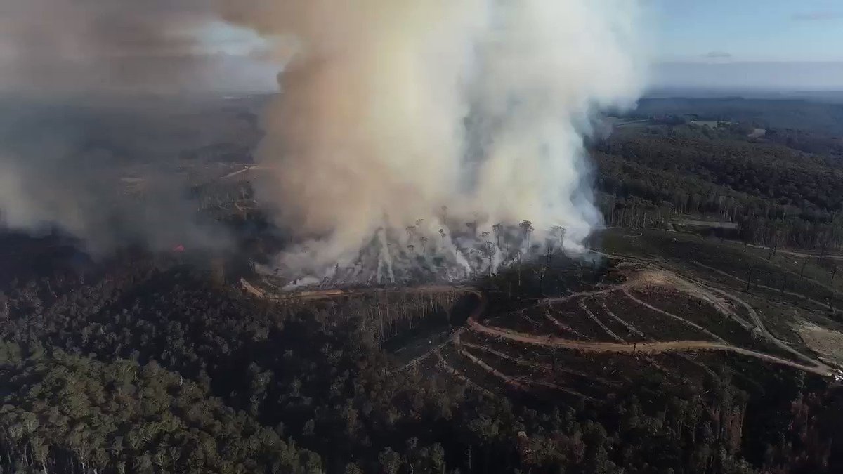 Sarah Rees π (@sarahrees) on Twitter photo 2019-09-22 07:38:47 When asked whatβs the simplest way Victoria can cut its emissions and reduce bushfire risk? Stop doing this to our forests. Melbourne boasts the most carbon rich forests on Earth but we log and burn them for copy paper, container liners and pallets. This is a jobs-poor use. When asked whatβs the simplest way Victoria can cut its emissions and reduce bushfire risk? Stop doing this to our forests. Melbourne boasts the most carbon rich forests on Earth but we log and burn them for copy paper, container liners and pallets. This is a jobs-poor use.