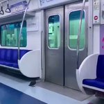 飛んでるハトはもう古い!？今時のハトは電車を利用します!