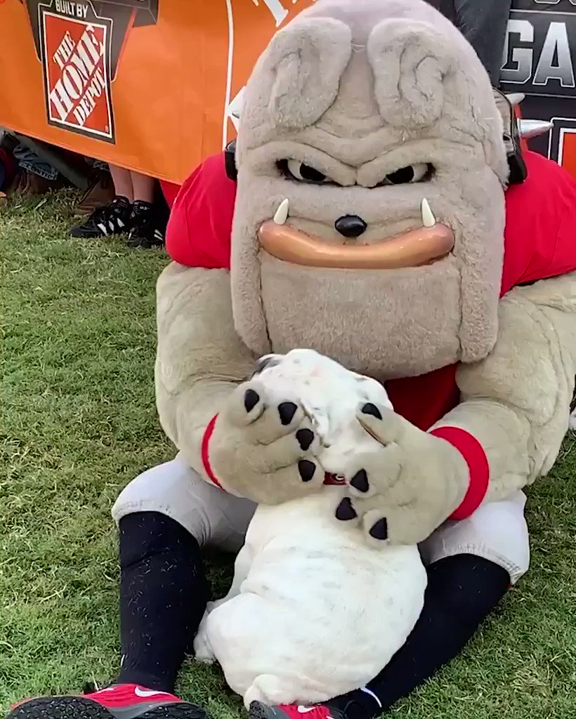 College GameDay (@CollegeGameDay) on Twitter photo 21/09/2019 14:46:57 12/10 would pet all day 🐾 12/10 would pet all day 🐾